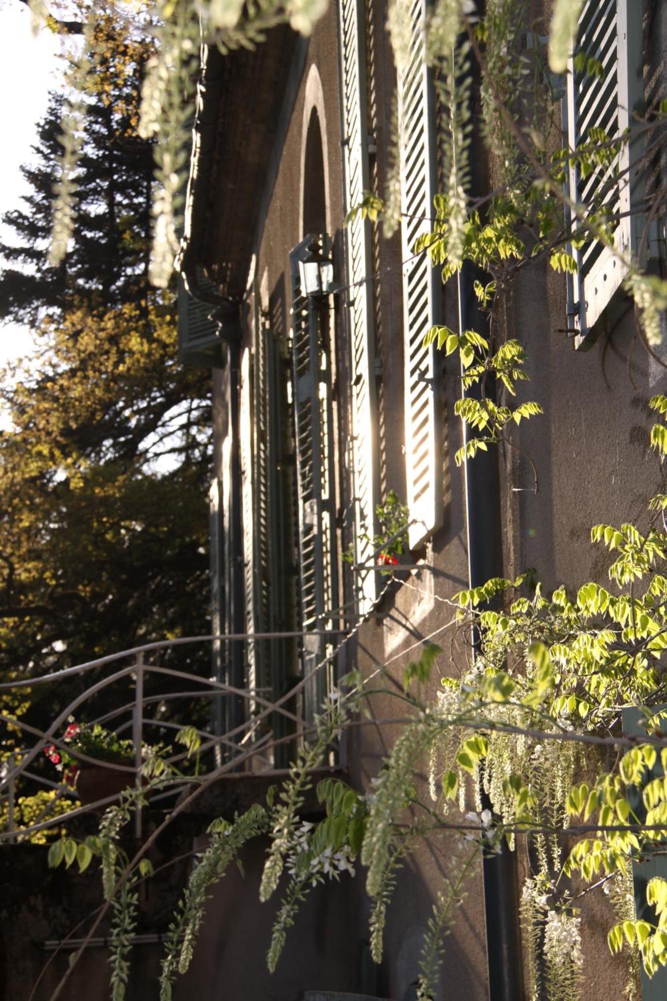 Domaine Le Castelet Bed & Breakfast Castres  Eksteriør bilde