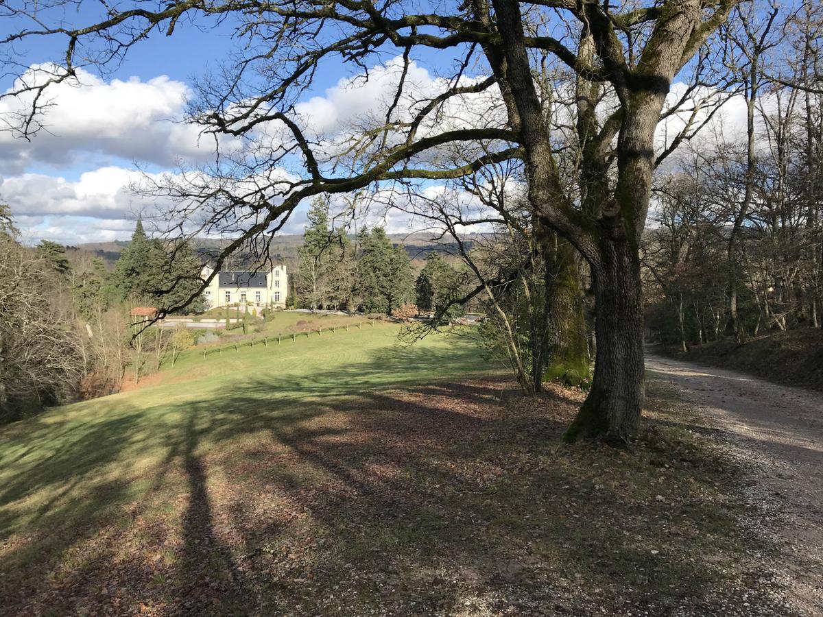 Domaine Le Castelet Bed & Breakfast Castres  Eksteriør bilde